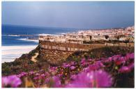 Postal. Ericeira - Portugal