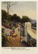 Postal. B.P. N.º 161 - Madeira. Carro do Monte. Reid's Mount Park Hotel (Gardens)