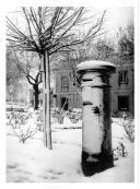 Fotografia Reprodução. Pormenor do nevão de 1945