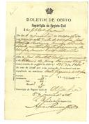 Boletim de óbito A1741
José Beatriz Rodrigues Júnior
Coval 83