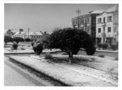 Fotografia Reprodução. Pormenor do nevão de 1945