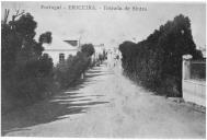 Fotografia Reprodução de postal. Portugal. Ericeira - Estrada de Sintra