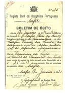 Boletim de Óbito 0101
Serafim Tomás dos Santos
Coval 125 (coval 268)