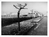 Fotografia Reprodução. Pormenor do nevão de 1945